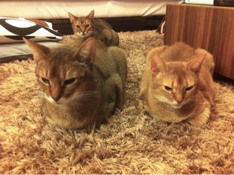 {20ACF20E-FD4C-4152-A071-F2B65D1AE796:01}