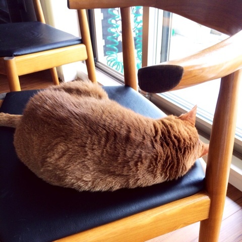 {75FF915B-B845-41CF-B900-CF3289186D76:01}