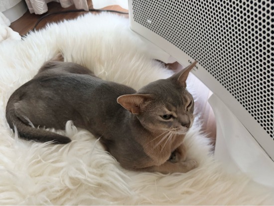 FullSizeRender