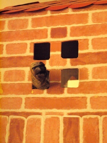 joli!joli!のおうちごはんとおかしとねこ♪