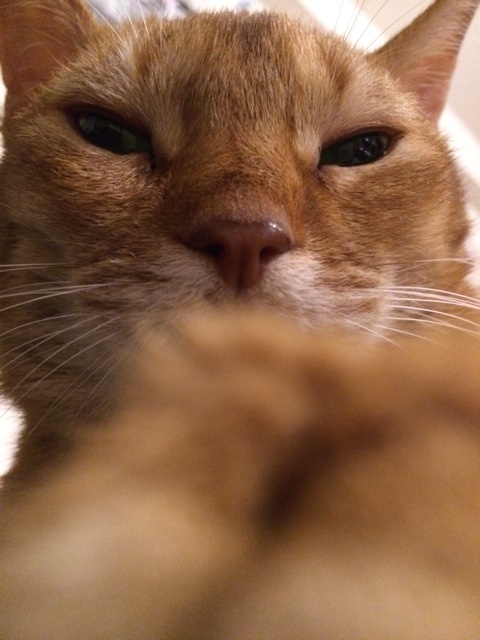 {12213656-B559-4A0F-835B-7A83259003D9:01}