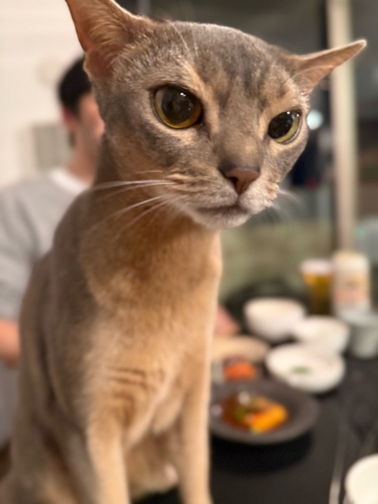 FullSizeRender