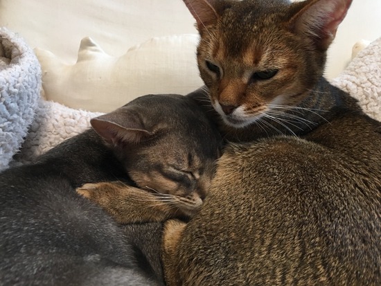 B60312B8-FF3F-4A48-A5CF-766CC924A9DD