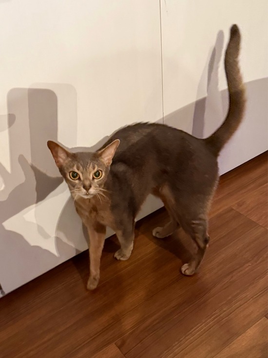 FullSizeRender
