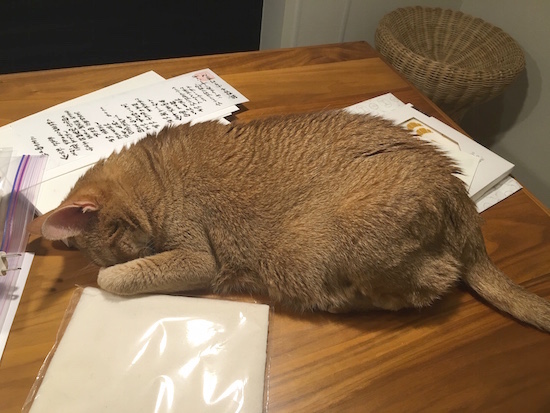 8455F3B2-A8A4-4619-B5BF-7BE0E3181B13