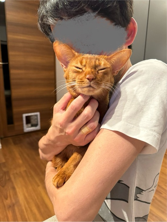 FullSizeRender