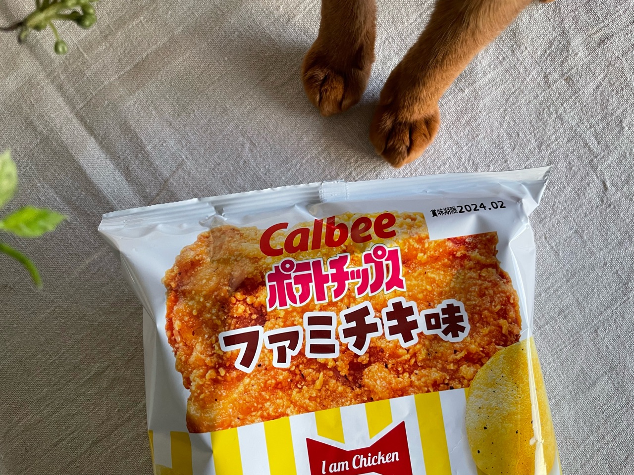 ファミリーマート限定「ポテトチップス ファミチキ味」を食べて