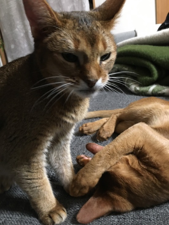 D5B93FF0-DFD2-4EF3-9A59-89027F3436B7