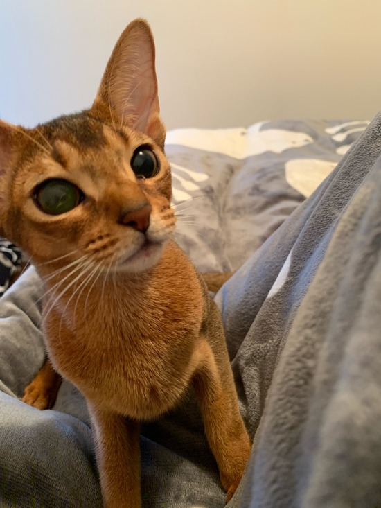 1DCDAF64-3394-479B-8A45-DE5D37F871E4