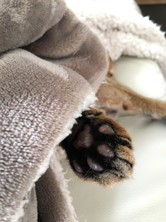 20A2A740-758E-4025-96EF-7B381294D47E