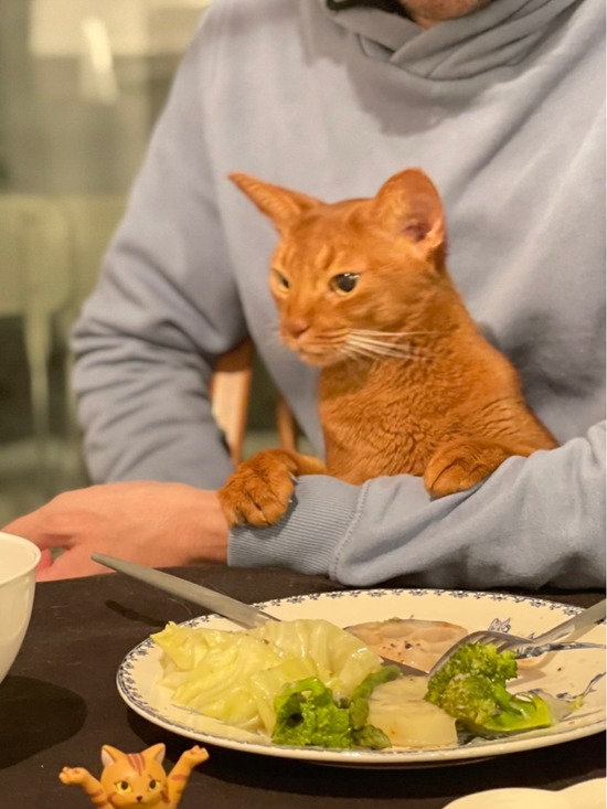 FullSizeRender