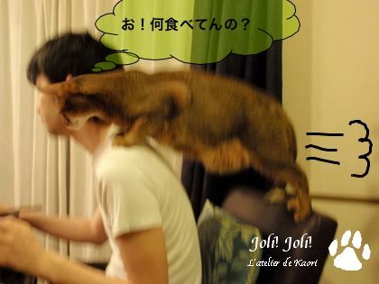 joli!joli!のおうちごはんとおかしとねこ♪