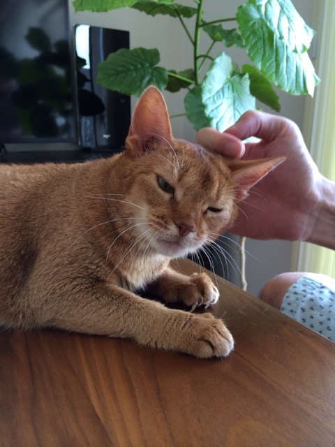 {92344BE0-5E7B-4ABF-9787-031C5CCF1A19:01}