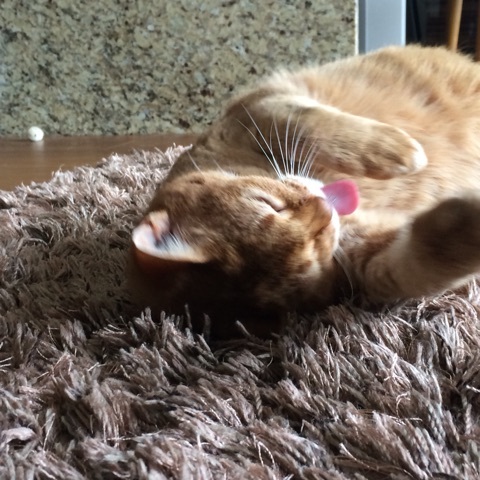 {6909C5E9-06DD-49C3-BF5C-0B9C4119E21C:01}