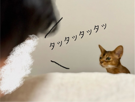 FullSizeRender