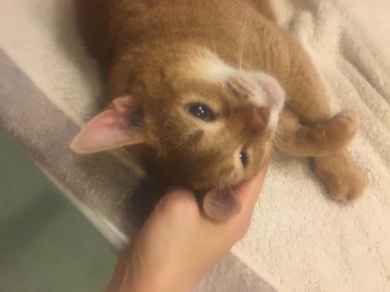 27B3DCE0-2CB9-4341-A322-22A5D0756D8F