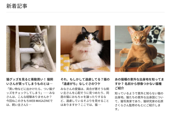 スクリーンショット 2019-09-16 19.37.48