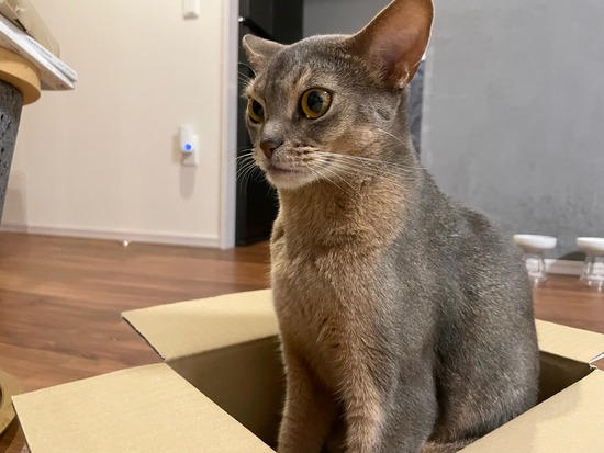 FullSizeRender