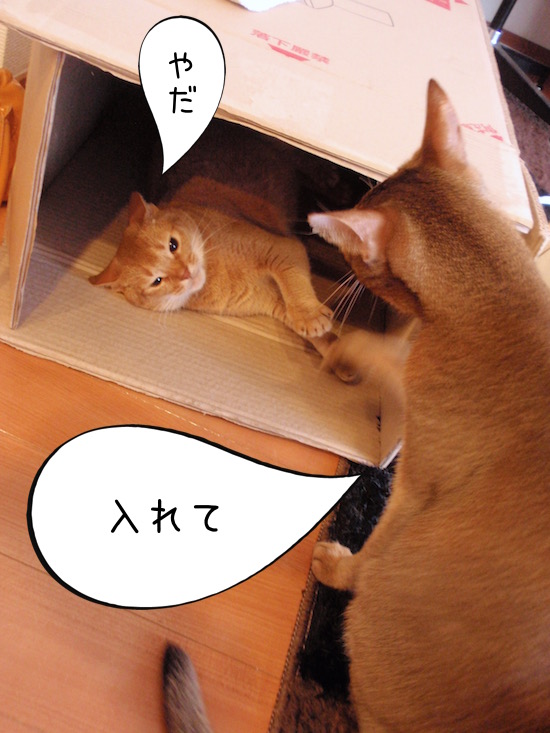 P5160173 のコピー