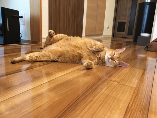 16FC2314-2F96-4B5A-9DB4-06EA6AB345AC