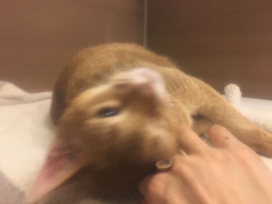 2A0F2806-9DDA-4050-9303-42BB86117DEC