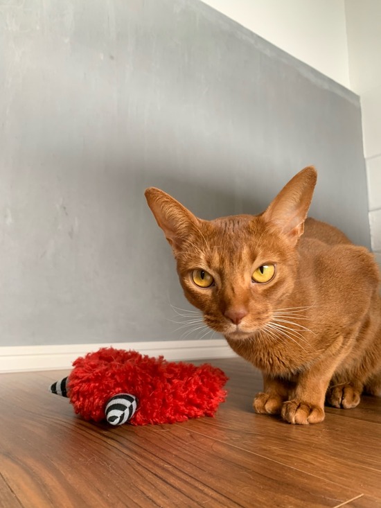 22FE4F3E-3F85-4612-BA97-92657BC788C7