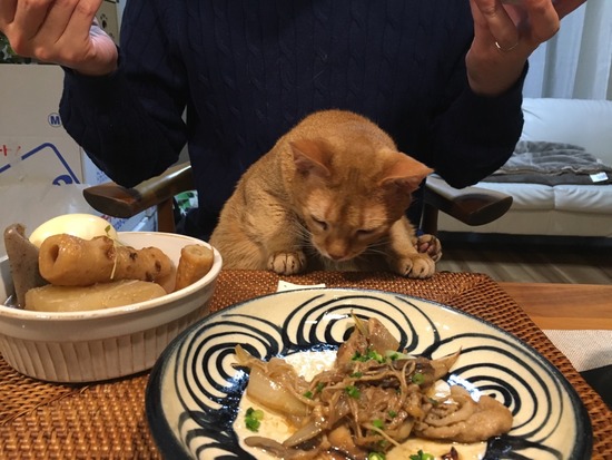 818A04DB-8977-4F19-8DC1-083245ED86AE