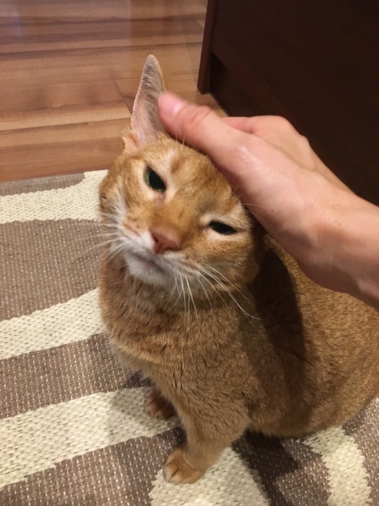 8ED5640E-60D4-46B5-AE12-FFFA5CE07341