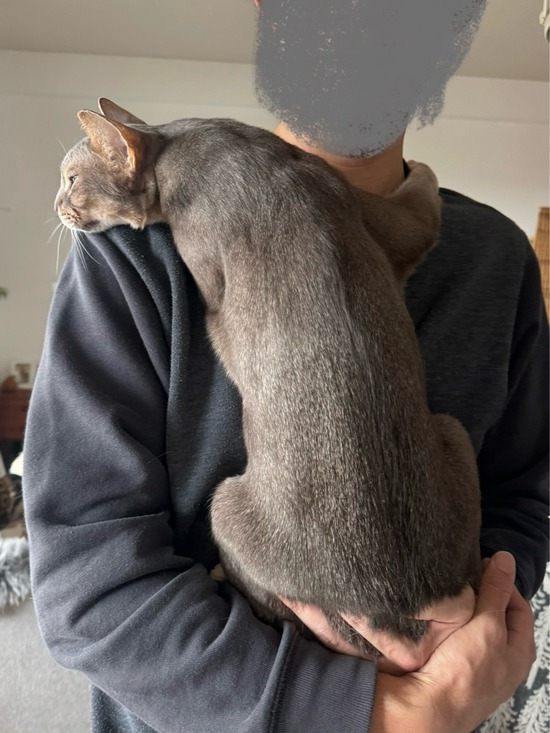 FullSizeRender