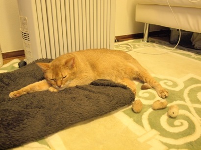 joli!joli!のおうちごはんとおかしとねこ♪