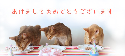IMG_1047 のコピー