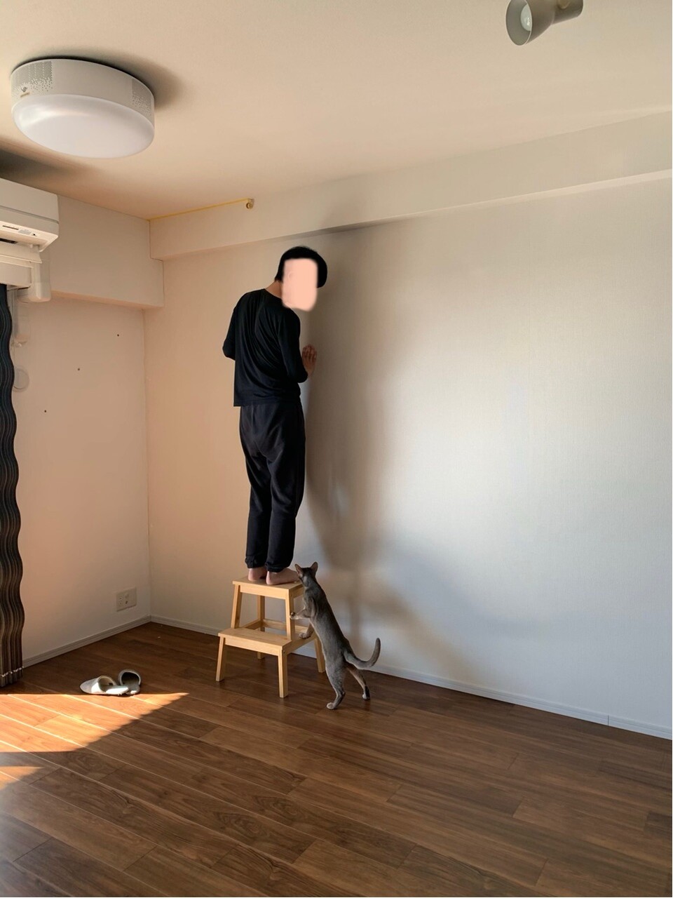 リビングの大きな壁に うま くヌレールを塗りました おうちごはんとおかしとねこ Powered By ライブドアブログ