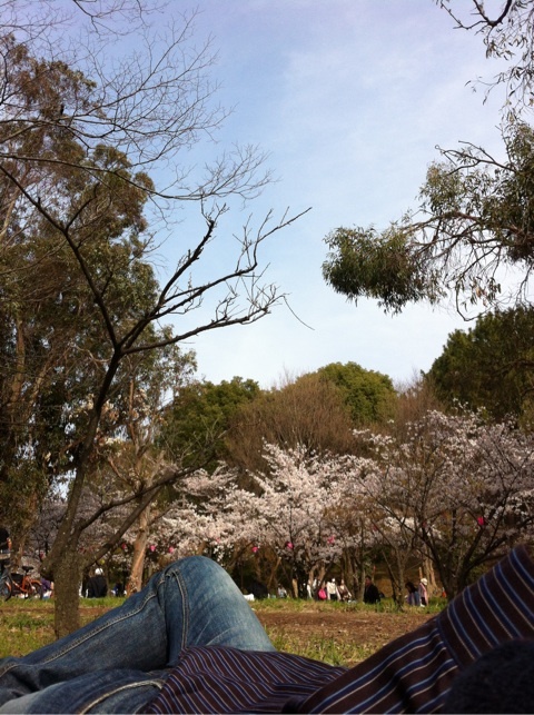 photo:05