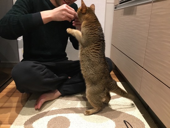 2B4A9132-5DF9-4A41-8250-2866847FDBEA