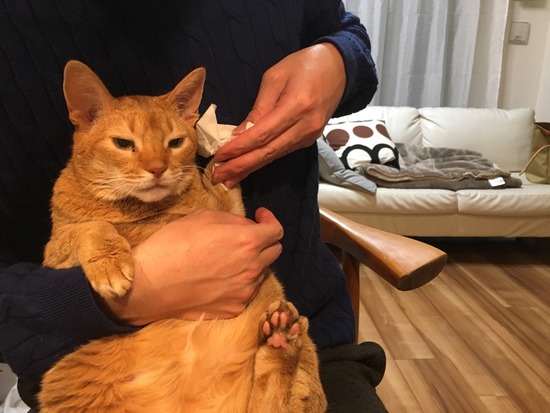 3A738245-5B31-4A1B-BF28-F937AFBCF1E9