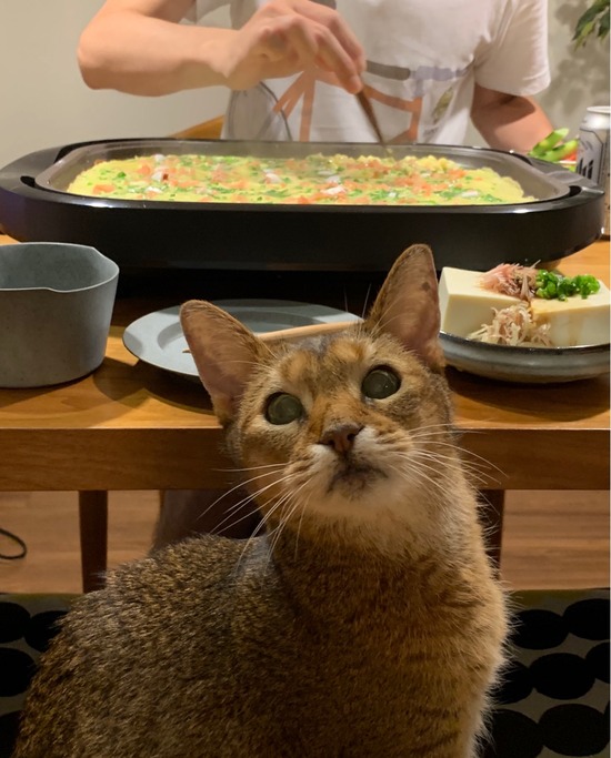 FullSizeRender
