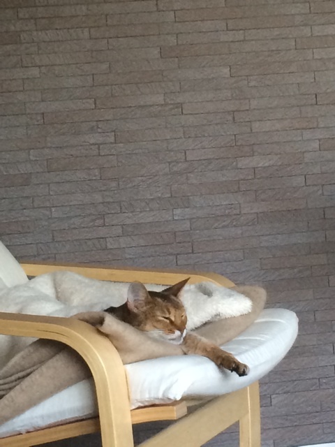 {77B3AF7A-309A-49ED-BA59-8DDD8D7A3EAF:01}