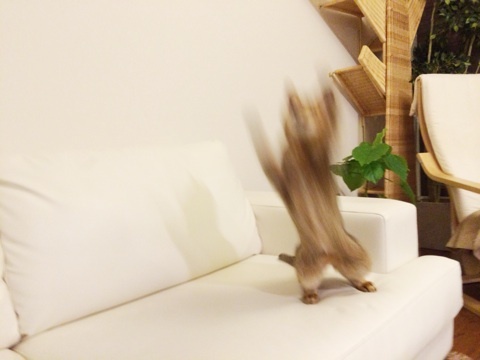 {13C3B8F4-AEBC-4F45-A0DC-1757271466DF:01}