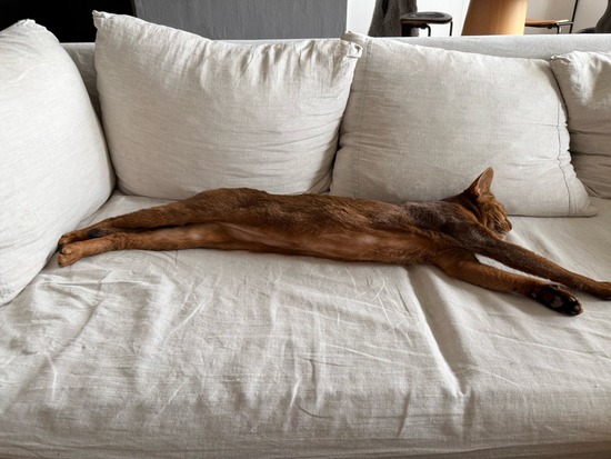 FullSizeRender