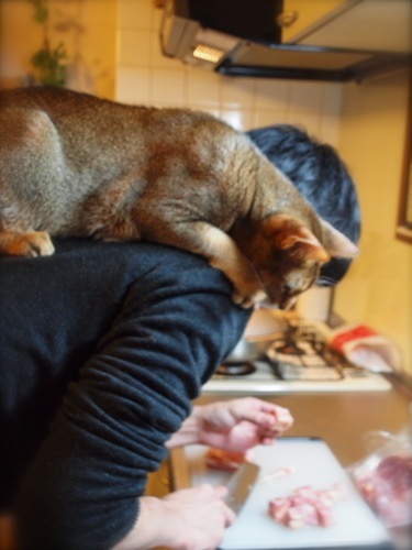 joli!joli!のおうちごはんとおかしとねこ♪