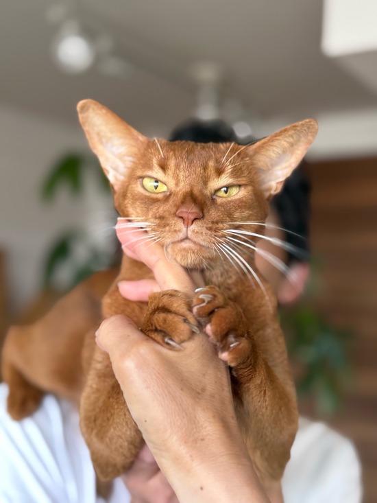 FullSizeRender