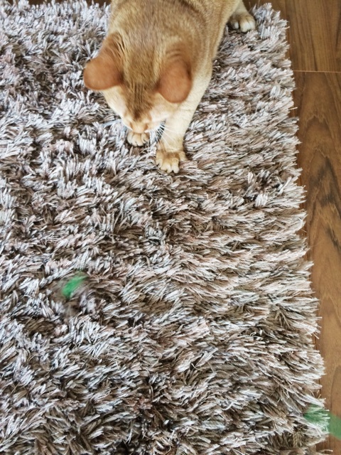 {DC55B446-C758-43B9-91DA-748A4CA80E37:01}