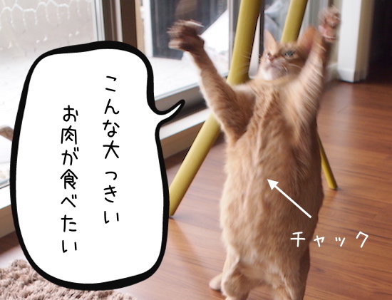 一コマブログ