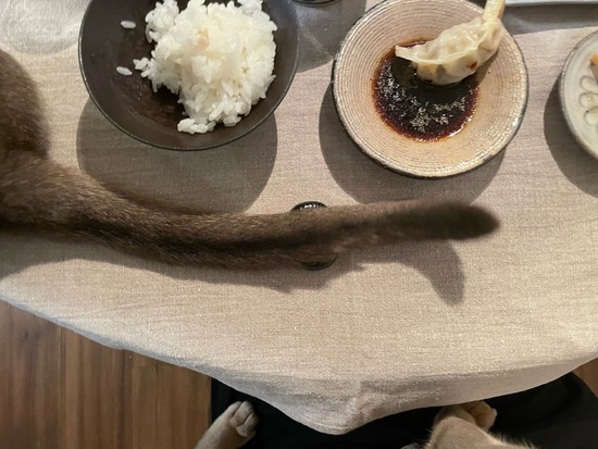 FullSizeRender