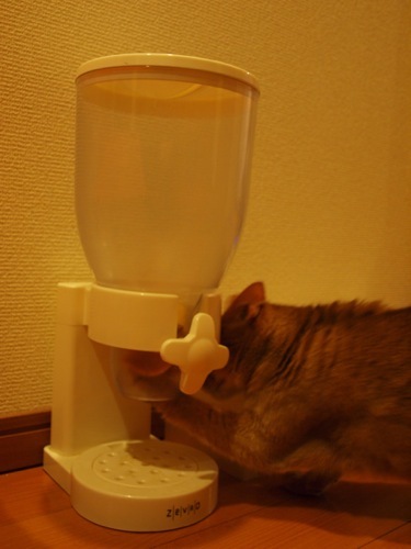 joli!joli!のおうちごはんとおかしとねこ♪