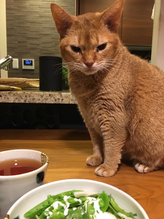 A563E9A9-5582-4984-8664-D46B084398AB