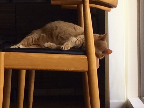 {1A92D212-FA00-4CF0-BCAA-9BF1DEEBA1C1:01}