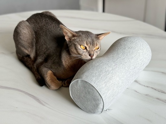 FullSizeRender