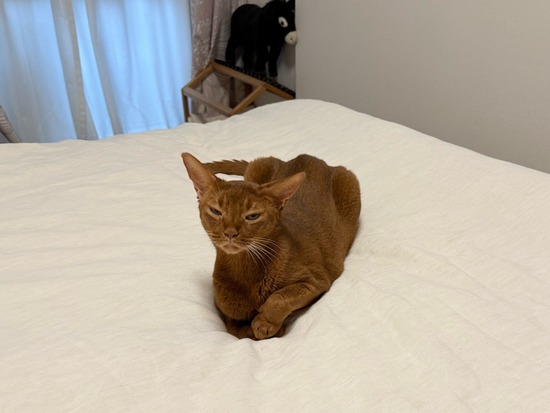 FullSizeRender