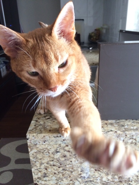 {F46BF513-1B11-421F-B4A8-57BFFE40E807:01}